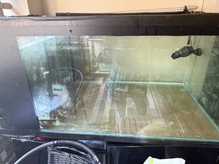 (Category: ) located in . Submitted by james143 (Listing ID 1397139264, Image 1). Description: .