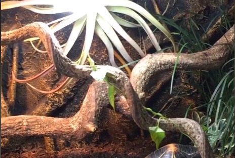 (Category: ) located in . Submitted by jacole (Listing ID 1397051277, Image 1). Description: .
