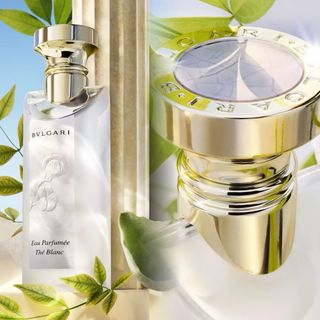 💖包順豐 Bvlgari Eau Parfumée Thé Blanc Eau De Toilette 寶格麗白茶淡香水 samkiu64237119303170110