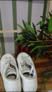 (Kategori: ) berada di . Dikirim oleh looplabel (ID iklan 1397221309, Gambar 1). Deskripsi: .