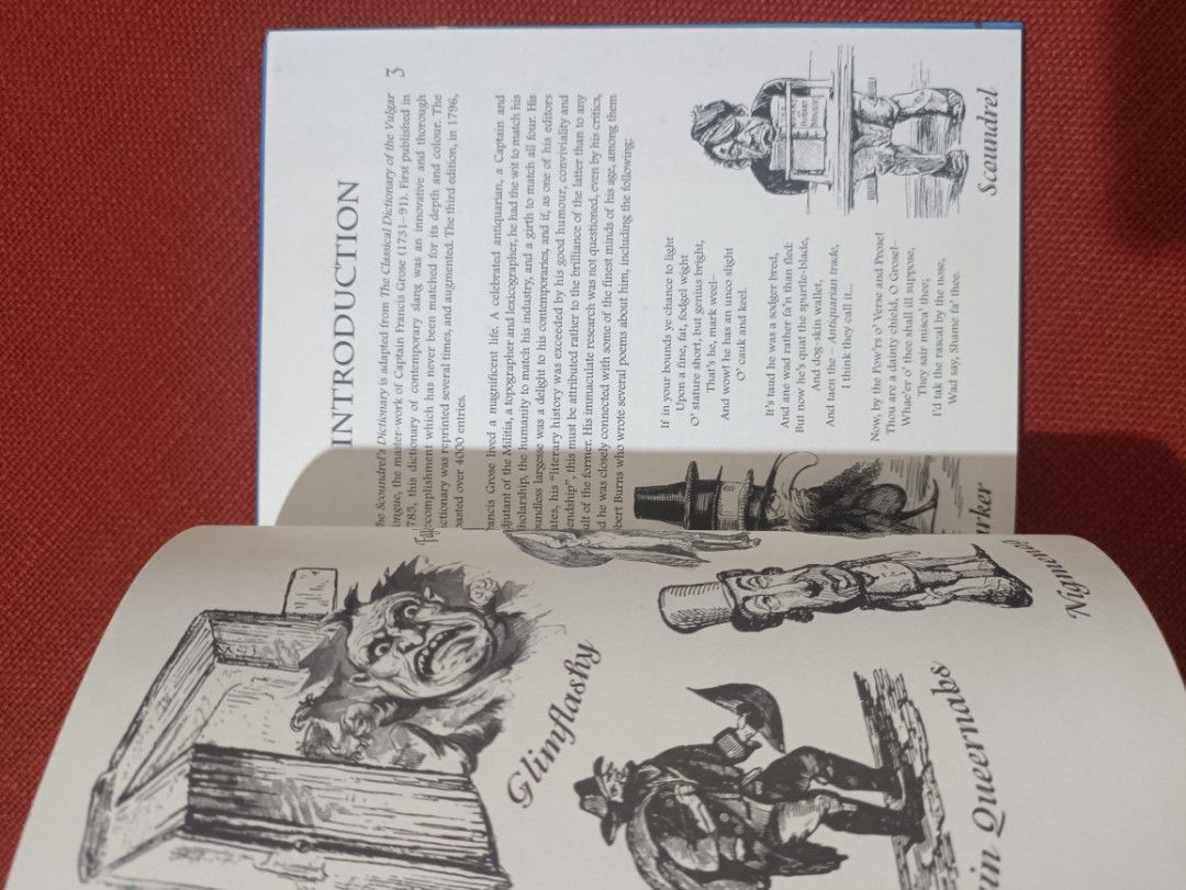 The Scoundrel 's Dictionary (Category: Storybooks) located in Manila. Submitted by krishna_ayanami (Listing ID 1397377145, Image 3). Description: Feel free to ask questions about the item.