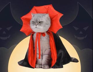 (Category: ) located in . Submitted by wintermagick (Listing ID 1401577937, Image 1). Description: .