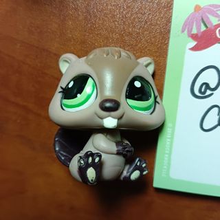 (Category: ) located in . Submitted by mapplemie (Listing ID 1401706293, Image 1). Description: .
