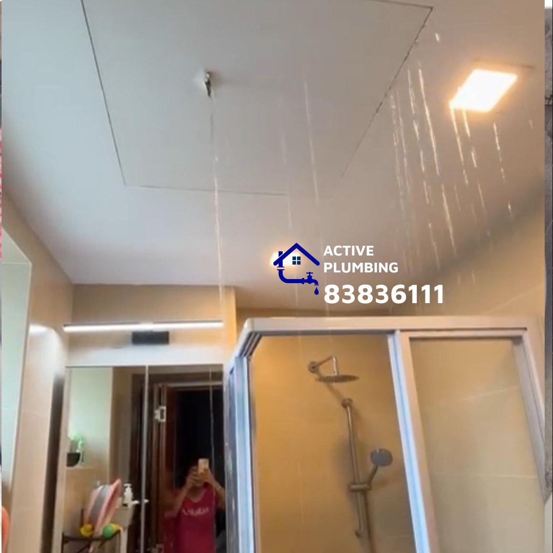 (Category: ) located in . Submitted by active-plumber (Listing ID 1401615766, Image 1). Description: .