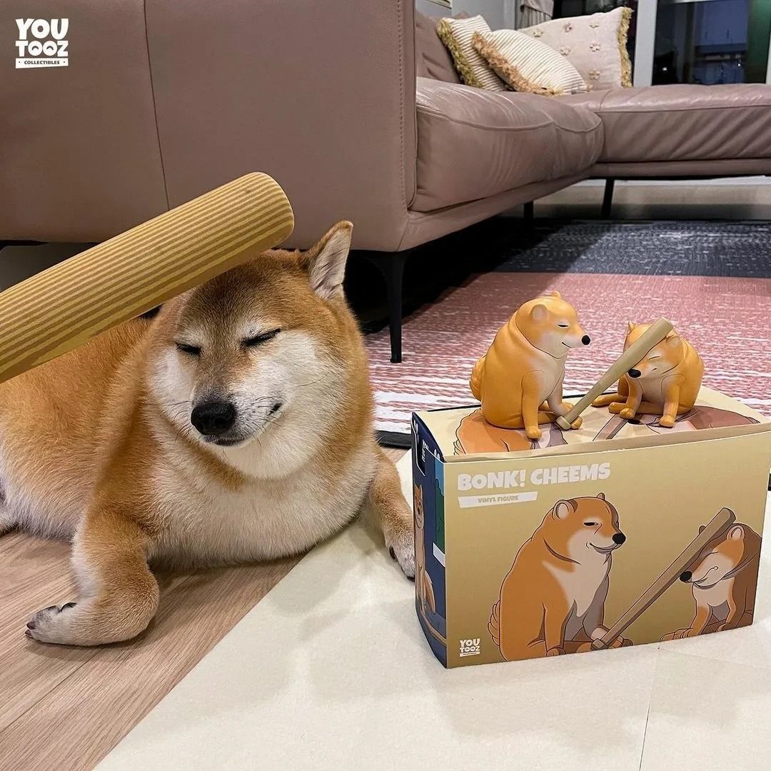 全新youtooz 迷因MEME DOGE FIGURE 系列柴犬Bonk! Cheems, 興趣及遊戲, 玩具& 遊戲類- Carousell