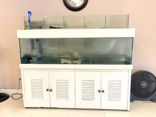 (Category: ) located in . Submitted by declutterbybd (Listing ID 1403380824, Image 1). Description: .