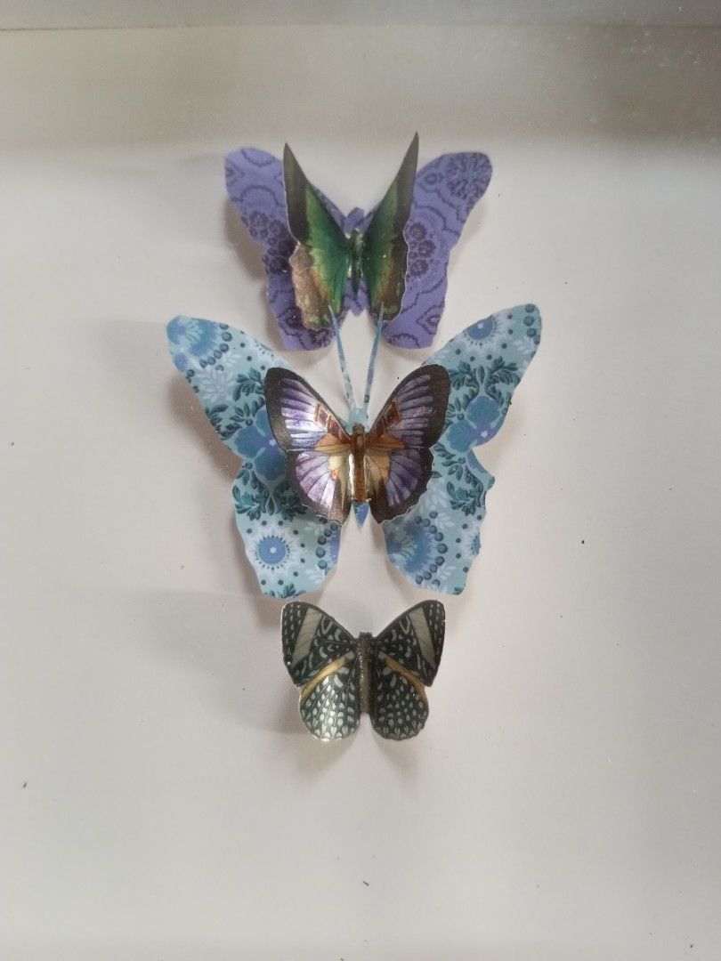 Butterfly Shadow Box Frame (Category: Frames & Pictures) located in Quezon City. Submitted by jojoleen28 (Listing ID 1403315696, Image 1). Description: Has scratches and dents on wood as seen in photos.