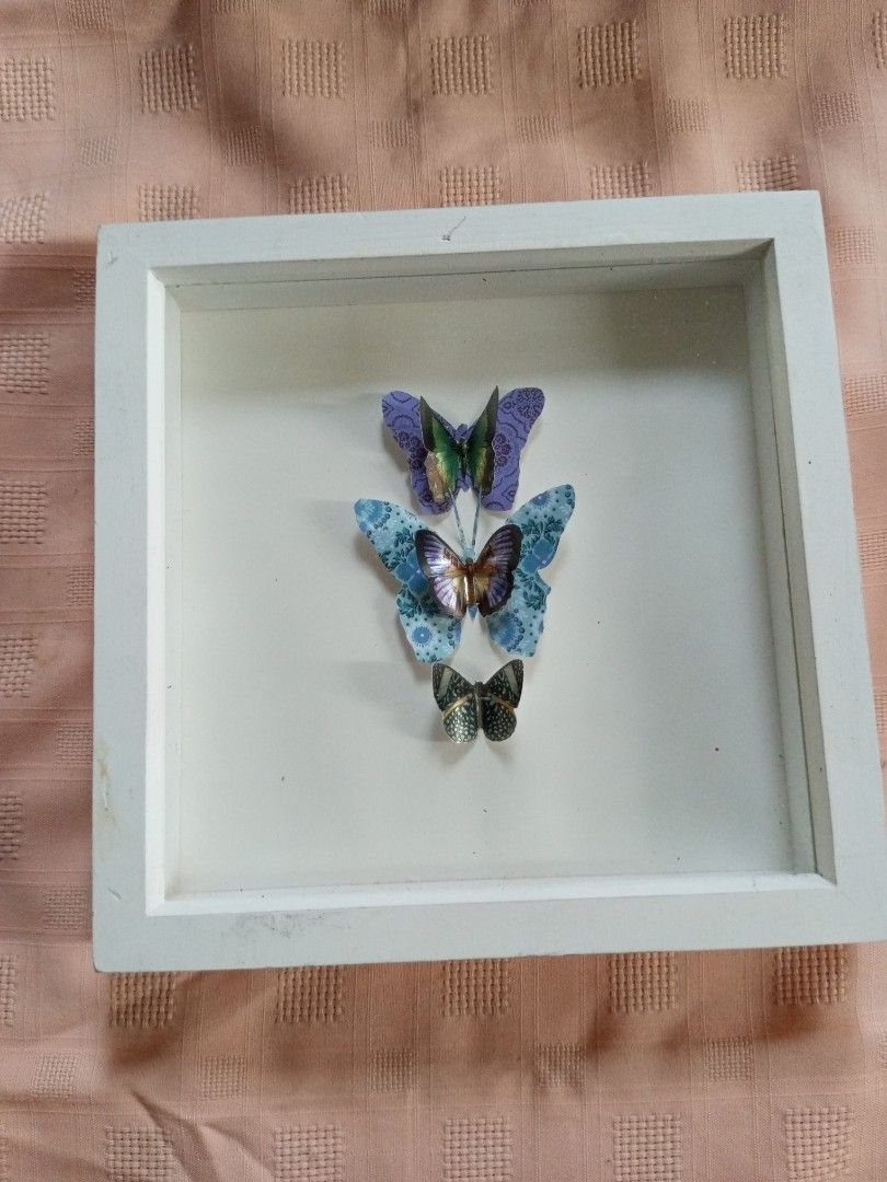 Butterfly Shadow Box Frame (Category: Frames & Pictures) located in Quezon City. Submitted by jojoleen28 (Listing ID 1403315696, Image 2). Description: Has scratches and dents on wood as seen in photos.