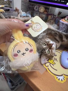 （分類：）位於 。 由 ballballmuimui 提交（商品編號 1403317431，圖片 1）。簡介： 。