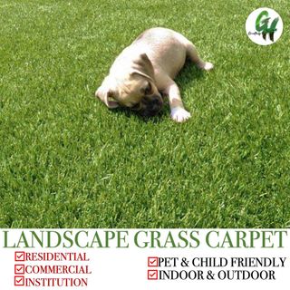 (Category: ) located in . Submitted by petsjoyland (Listing ID 1403294280, Image 1). Description: .