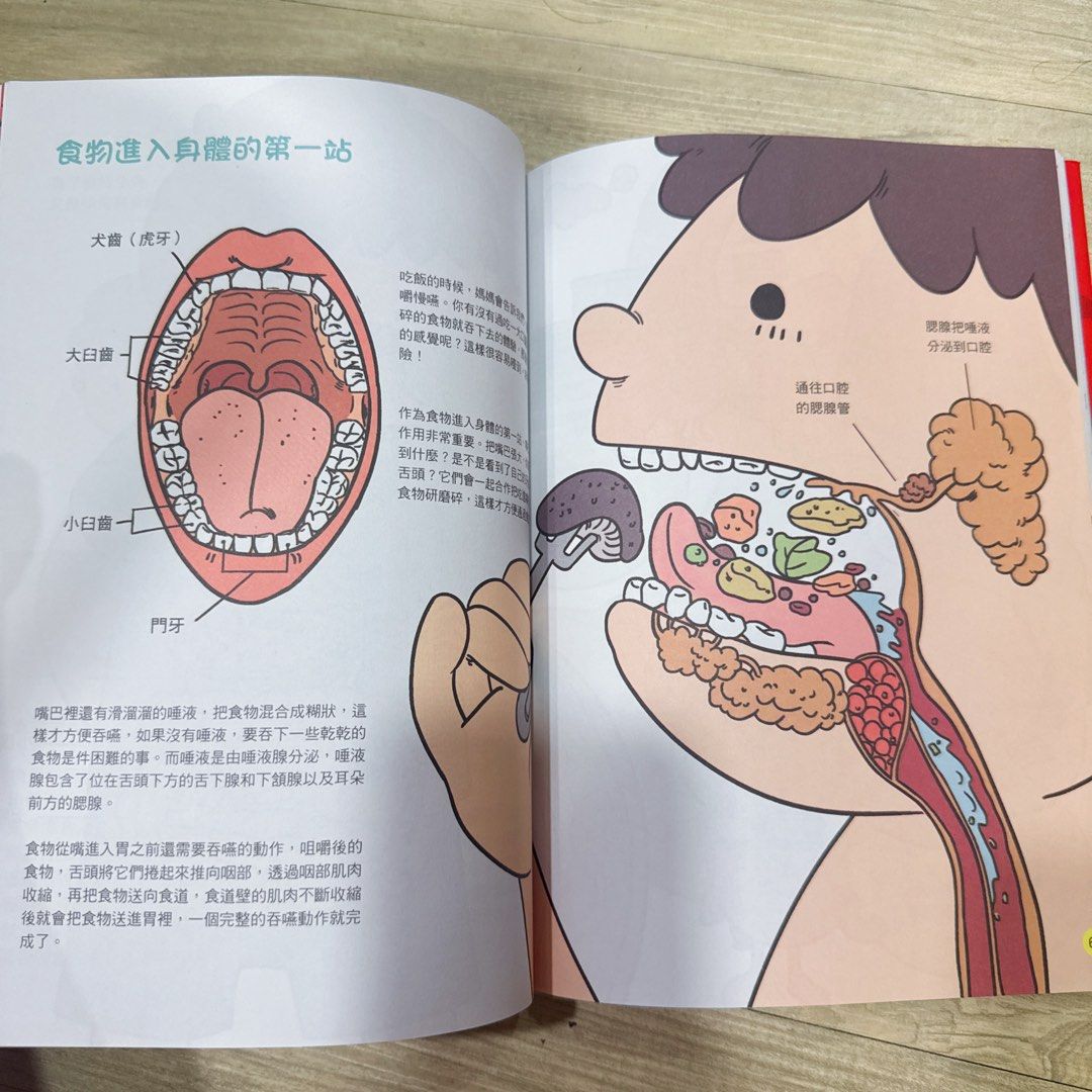 二手童書科學偵查隊人體器官奧妙圖解百科新課綱必備強化科學素養基礎小學生課外讀物, 書籍、休閒與玩具, 書本及雜誌, 童書、著色互動書在旋轉拍賣