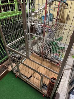 (Category: ) located in . Submitted by siang1063 (Listing ID 1403574835, Image 1). Description: .