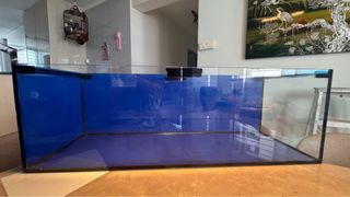 (Category: ) located in . Submitted by siong1985 (Listing ID 1403586421, Image 1). Description: .