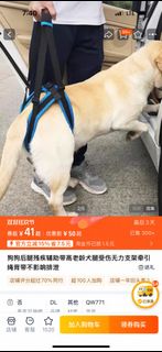 （分類：）位於 。 由 breadtree825 提交（商品編號 1403733597，圖片 1）。簡介： 。