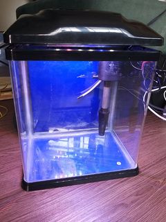 (Category: ) located in . Submitted by fawaamiwa (Listing ID 1403542395, Image 1). Description: .