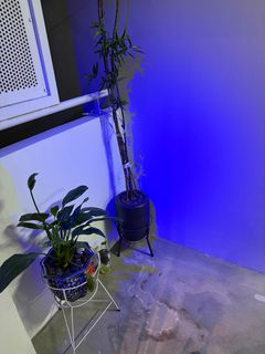 (Category: ) located in . Submitted by nismo44 (Listing ID 1403731436, Image 1). Description: .