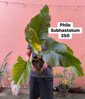 (Category: ) located in . Submitted by highcity_roller (Listing ID 1403699268, Image 1). Description: .