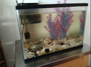 (Category: ) located in . Submitted by sharrvesh (Listing ID 1403616451, Image 1). Description: .