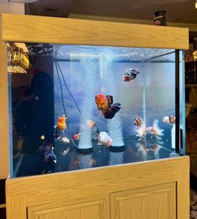 (Category: ) located in . Submitted by 58fbm5tx7d (Listing ID 1403795749, Image 1). Description: .