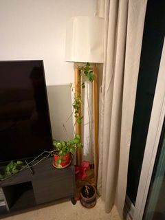 (Category: ) located in . Submitted by ayeshafar88099 (Listing ID 1403620417, Image 1). Description: .