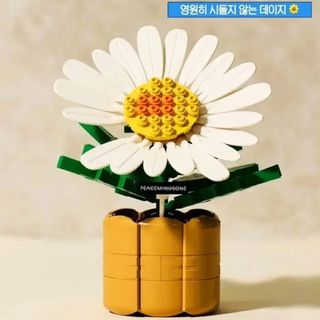 (Category: ) located in . Submitted by seoulplayground (Listing ID 1403904888, Image 1). Description: .