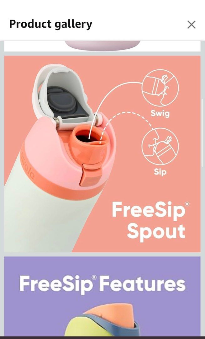 Owala FreeSip Water Bottle445261522509516801