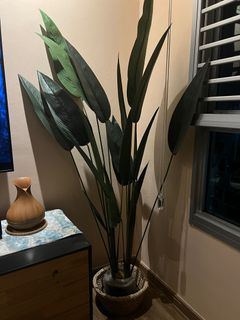 (Category: ) located in . Submitted by nxfxz (Listing ID 1403898295, Image 1). Description: .