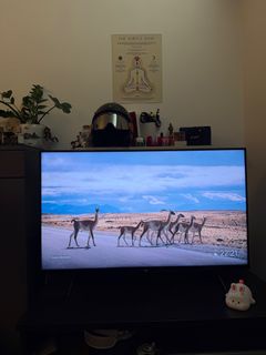 （分類：）位於 。 由 rj_ranjit 提交（商品編號 1403956504，圖片 1）。簡介： 。