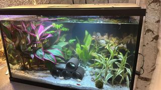 (Category: ) located in . Submitted by irence (Listing ID 1404114558, Image 1). Description: .