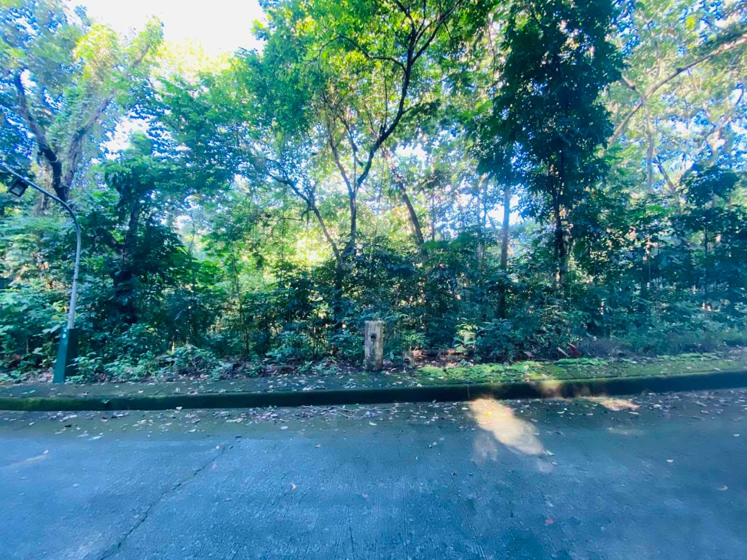 (Category: ) located in . Submitted by thatsbrokerraven (Listing ID 1404063186, Image 1). Description: .