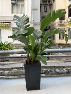 （分類：）位於 。 由 hobbas 提交（商品編號 1404079714，圖片 1）。簡介： 。