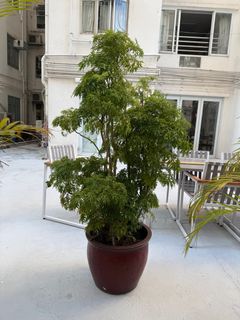 （分類：）位於 。 由 hobbas 提交（商品編號 1404078596，圖片 1）。簡介： 。