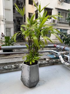 （分類：）位於 。 由 hobbas 提交（商品編號 1404080156，圖片 1）。簡介： 。