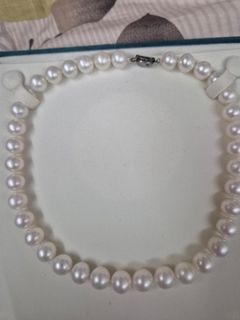 (Category: ) located in . Submitted by soft.toyssg (Listing ID 1394720346, Image 1). Description: .