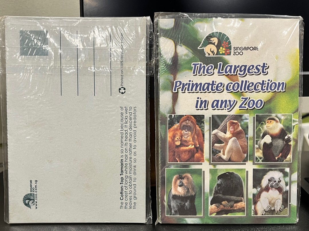 Primates Collection Vintage Singapore Zoo Primates Postcards Collection, Hobbies & Toys ...