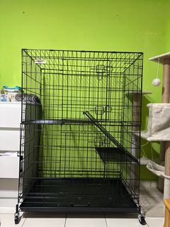 (Category: ) located in . Submitted by jelitilipit (Listing ID 1403929413, Image 1). Description: .