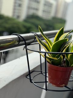 (Category: ) located in . Submitted by merlion65 (Listing ID 1404192463, Image 1). Description: .