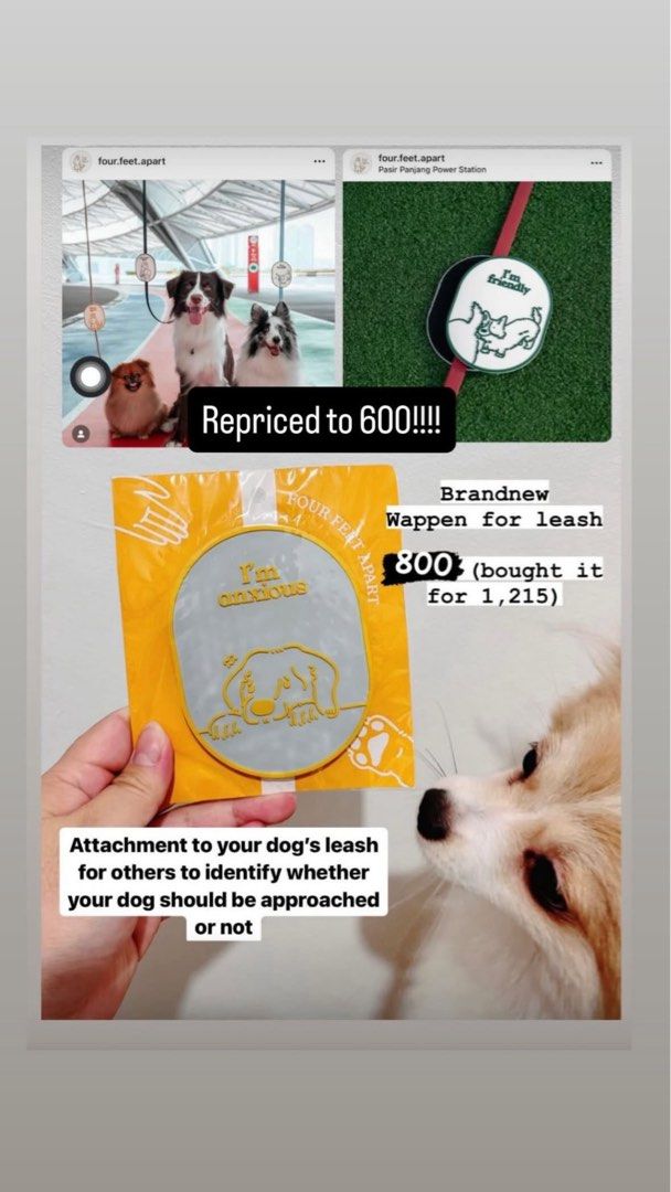 Four Feet Apart Leash Wappen (Category: Homes & Other Pet Accessories) located in Manila. Submitted by adg_declutter (Listing ID 1404361966, Image 1). Description: .