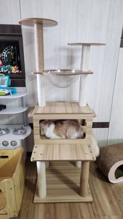 (Category: ) located in . Submitted by choyaaa (Listing ID 1404186449, Image 1). Description: .