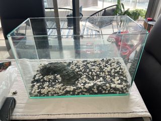 (Category: ) located in . Submitted by gostri (Listing ID 1404394632, Image 1). Description: .