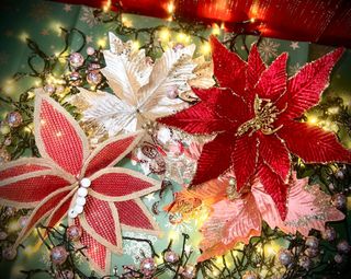 (Category: ) located in . Submitted by thefestivetouch (Listing ID 1404559694, Image 1). Description: .