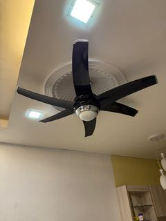 (Category: ) located in . Submitted by noblewind_696332 (Listing ID 1404569615, Image 1). Description: .