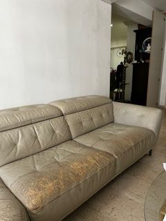 (Category: ) located in . Submitted by binura (Listing ID 1404418862, Image 1). Description: .