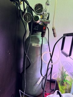 (Category: ) located in . Submitted by brandonliang (Listing ID 1404674074, Image 1). Description: .