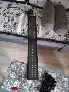 (Category: ) located in . Submitted by azhfik (Listing ID 1404626750, Image 1). Description: .