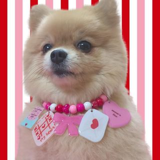 (Category: ) located in . Submitted by purelypaws (Listing ID 1404678931, Image 1). Description: .