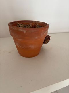 (Category: ) located in . Submitted by lesley1011 (Listing ID 1404626716, Image 1). Description: .