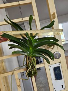 (Category: ) located in . Submitted by seekheng (Listing ID 1404601103, Image 1). Description: .
