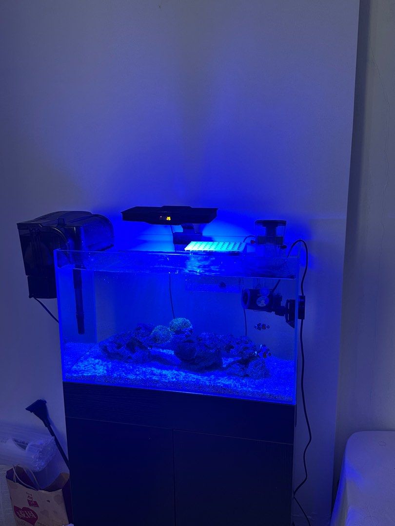 Curated visual reference: Visual Reference: Complete Reef Aquarium Setup Pet Supplies Homes Other Pet