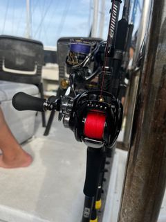 (Category: ) located in . Submitted by happy_fishin (Listing ID 1404802126, Image 1). Description: .